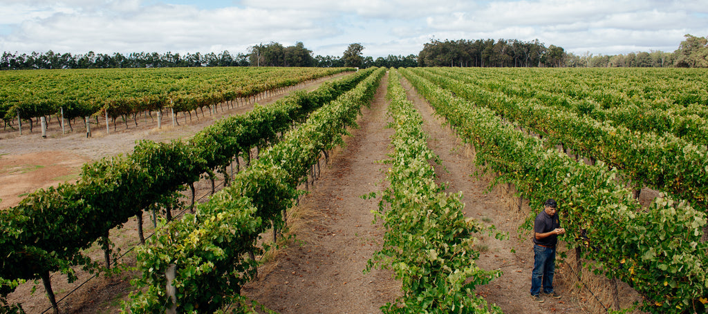 Genuinely Southern Forests, Made In Australia, Made In Manjimup, Estate Grown, Estate Grown Fruit, Peos Family, 90's of tradition, Fertile region, 300kms south west of Perth